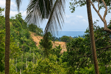 Land for sale in Santi Thani, Mae Nam, Surat Thani