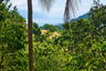 Land for sale in Santi Thani, Mae Nam, Surat Thani