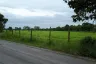 Land for sale in Yu Wa, Chiang Mai