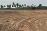 Land for sale in Pong, Chonburi