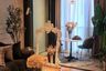 1 Bedroom Condo for sale in BEATNIQ Sukhumvit 32, Khlong Tan, Bangkok near BTS Thong Lo