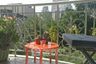 2 Bedroom Condo for rent in The Habitat Sukhumvit 53, Khlong Tan Nuea, Bangkok near BTS Thong Lo