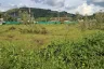 Land for sale in Choeng Thale, Phuket