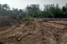 Land for sale in Choeng Thale, Phuket
