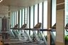1 Bedroom Condo for rent in Noble Recole, Khlong Toei Nuea, Bangkok near BTS Asoke