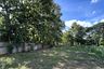 Land for sale in Mae Hia, Chiang Mai