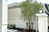 3 Bedroom House for rent in Chayayon Village, Suthep, Chiang Mai