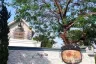3 Bedroom Townhouse for rent in Indy 4 bangna km.7, Bang Kaeo, Samut Prakan