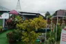 Apartment for sale in Nong Prue, Chonburi