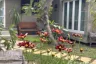 4 Bedroom House for sale in Nong Chom, Chiang Mai