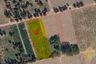 Land for sale in Nong Prue, Chonburi