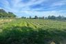 Land for sale in Nong Prue, Chonburi