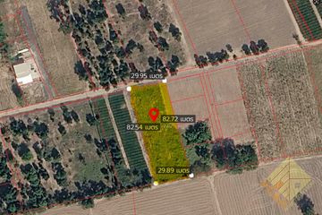 Land for sale in Nong Prue, Chonburi