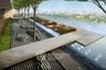 1 Bedroom Condo for rent in Onyx Phaholyothin, Phaya Thai, Bangkok near BTS Saphan Kwai