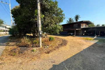 Land for sale in Pong, Chonburi