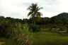 Land for sale in Pa Khlok, Phuket