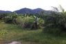 Land for sale in Pa Khlok, Phuket