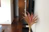 2 Bedroom Condo for rent in Quattro by Sansiri, Khlong Tan Nuea, Bangkok near BTS Thong Lo