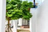 3 Bedroom Villa for sale in Chalong, Phuket