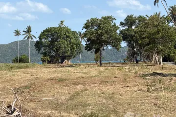 Land for sale in Na Mueang, Surat Thani