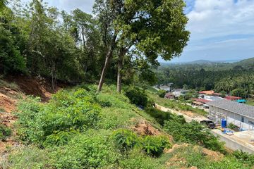 Land for sale in Bo Phut, Surat Thani