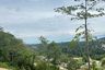 Land for sale in Mae Nam, Surat Thani