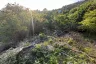Land for sale in Ban Tai, Surat Thani