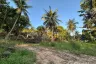 Land for sale in Ban Tai, Surat Thani
