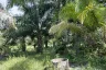 Land for sale in Taling Chan, Krabi