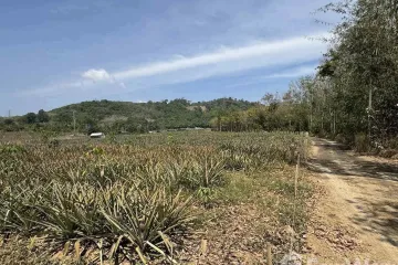 Land for sale in Si Sunthon, Phuket