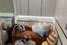 1 Bedroom Condo for rent in Kave Town Island, Khlong Nueng, Pathum Thani