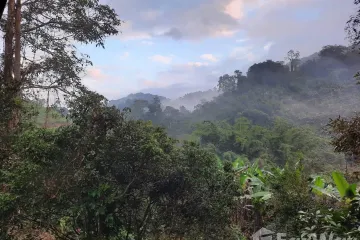 Land for sale in Mueang Kai, Chiang Mai
