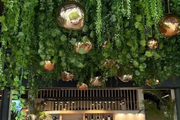 Commercial for rent in Choeng Thale, Phuket