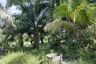 Land for sale in Taling Chan, Krabi