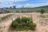 Land for sale in Hin Lek Fai, Prachuap Khiri Khan