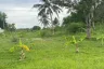 Land for sale in Nong Kae, Prachuap Khiri Khan