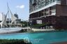 1 Bedroom Condo for rent in The Coast Bangkok, Bang Na, Bangkok near BTS Bang Na