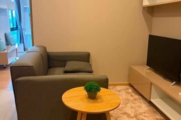 1 Bedroom Condo for rent in The ACE Ekamai, Khlong Tan Nuea, Bangkok near BTS Ekkamai