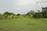 Land for sale in Nong Prue, Chonburi
