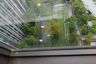 1 Bedroom Condo for sale in Life One Wireless, Lumpini, Bangkok near BTS Ploen Chit
