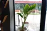 39 Bedroom Hotel / Resort for rent in Pa Daet, Chiang Mai