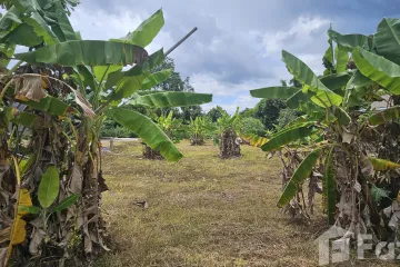 Land for sale in Nong Khwai, Chiang Mai