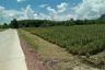 Land for sale in Nong Phlap, Prachuap Khiri Khan