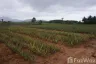 Land for sale in Nong Phlap, Prachuap Khiri Khan