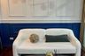 1 Bedroom Condo for rent in Sukhumvit Suite, Khlong Toei Nuea, Bangkok near BTS Nana