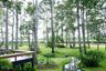 4 Bedroom House for rent in Life in the Garden Rongpo - Motoyway, Takhian Tia, Chonburi