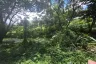 Land for sale in Don Kaeo, Chiang Mai