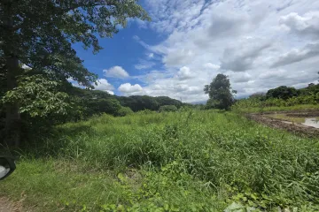 Land for sale in Don Kaeo, Chiang Mai