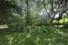 Land for sale in Don Kaeo, Chiang Mai