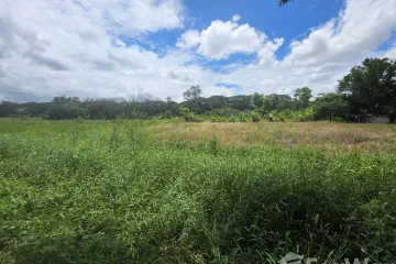 Land for sale in Don Kaeo, Chiang Mai